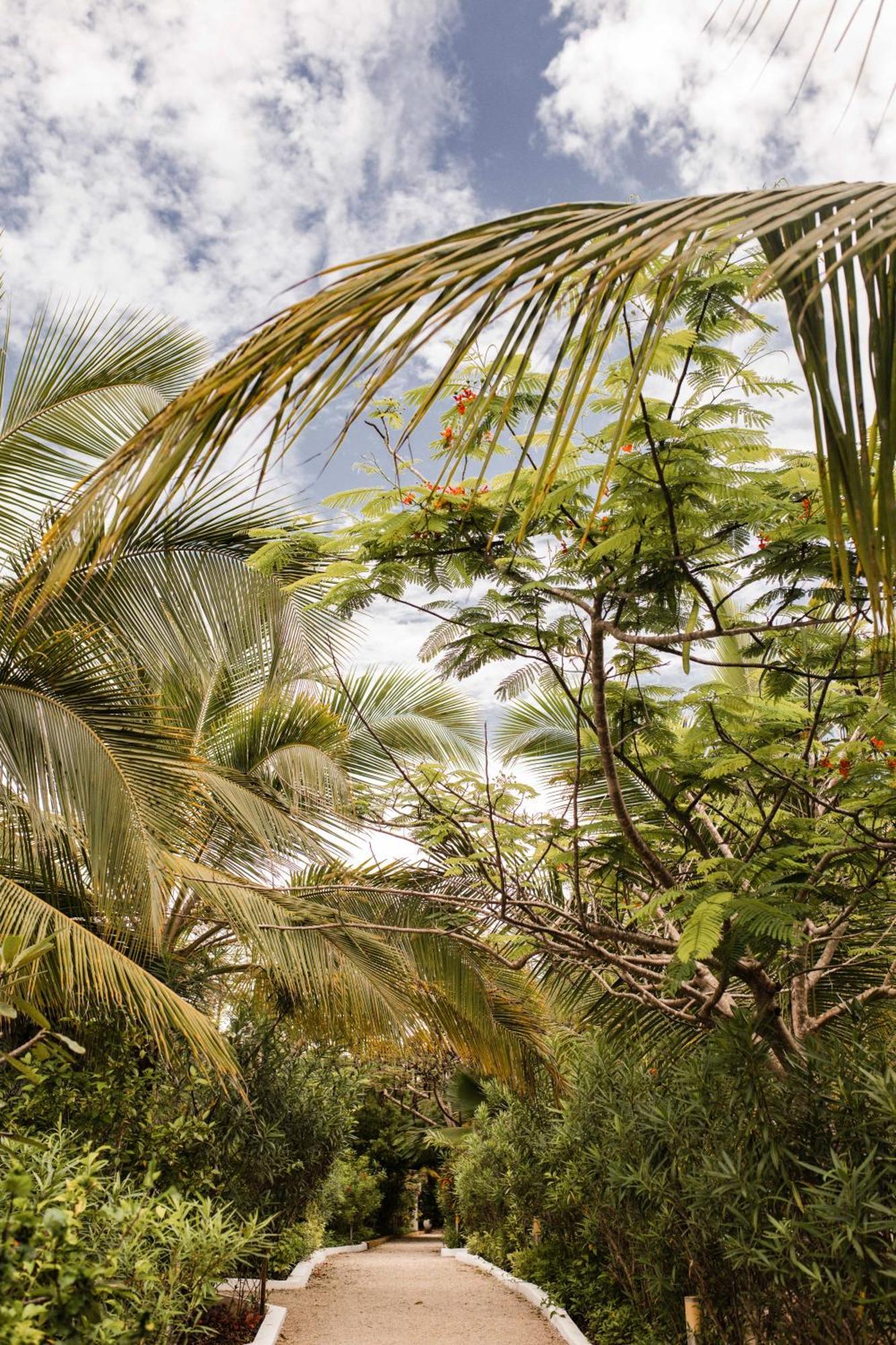 White Paradise Zanzibar ポングウェ エクステリア 写真