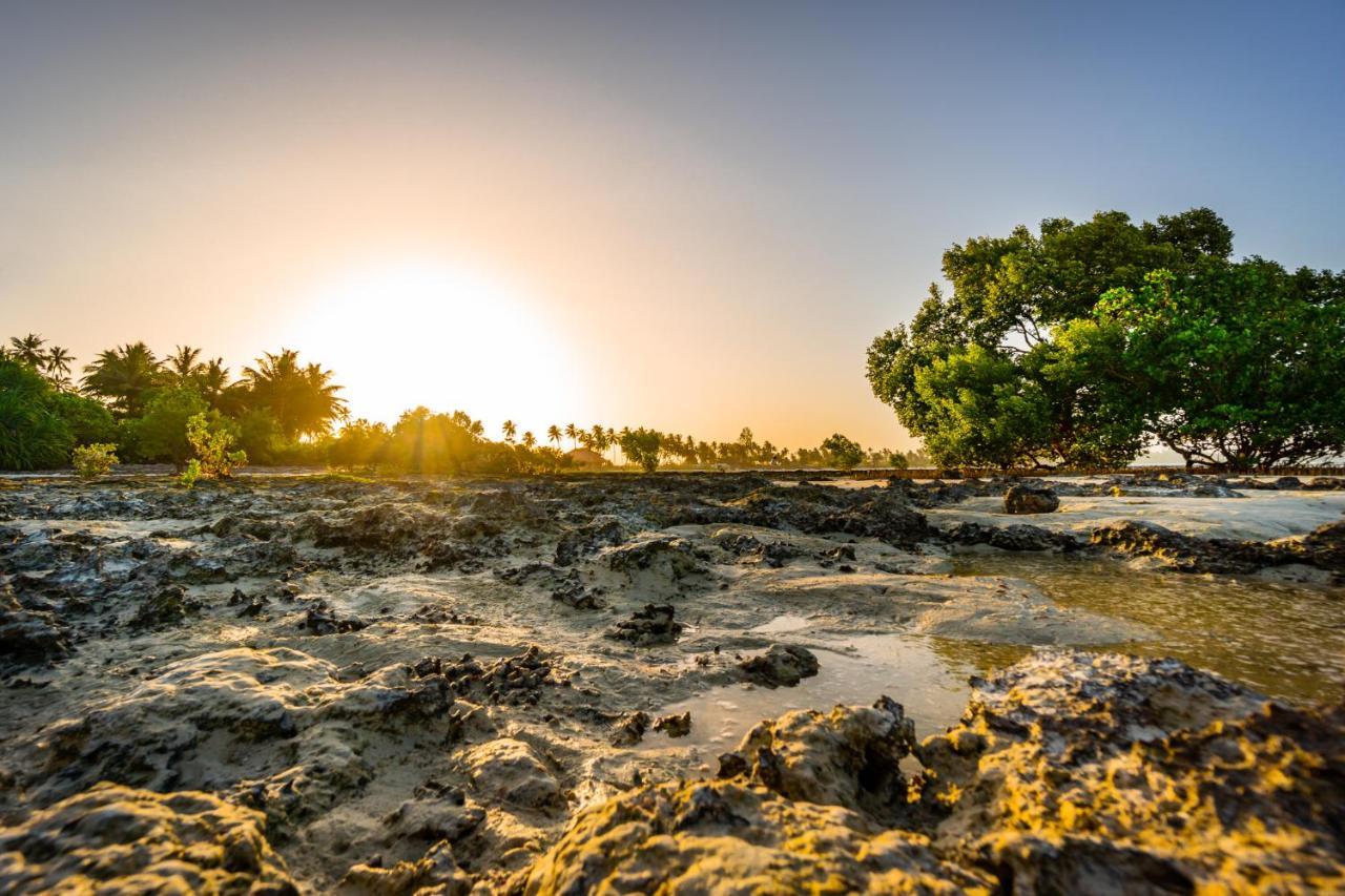 White Paradise Zanzibar ポングウェ エクステリア 写真